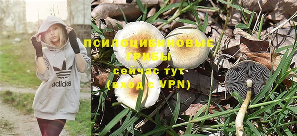 гидра Волосово