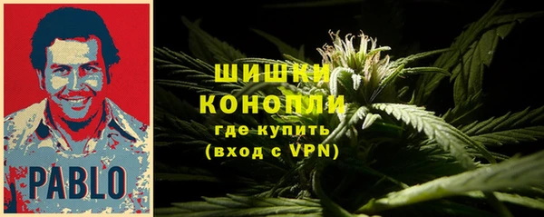 тгк Володарск