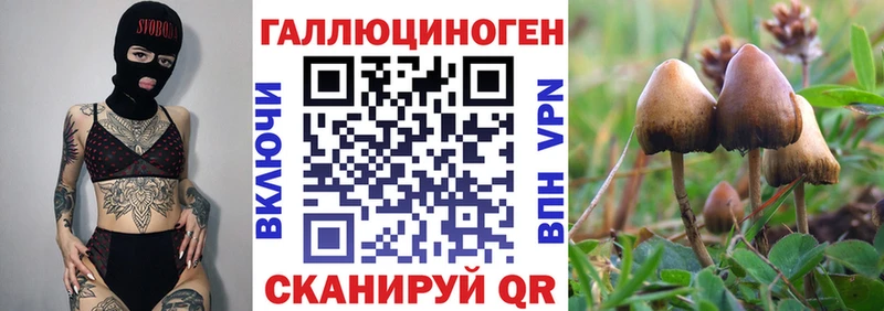 Псилоцибиновые грибы Cubensis  Купить где  Ардатов 